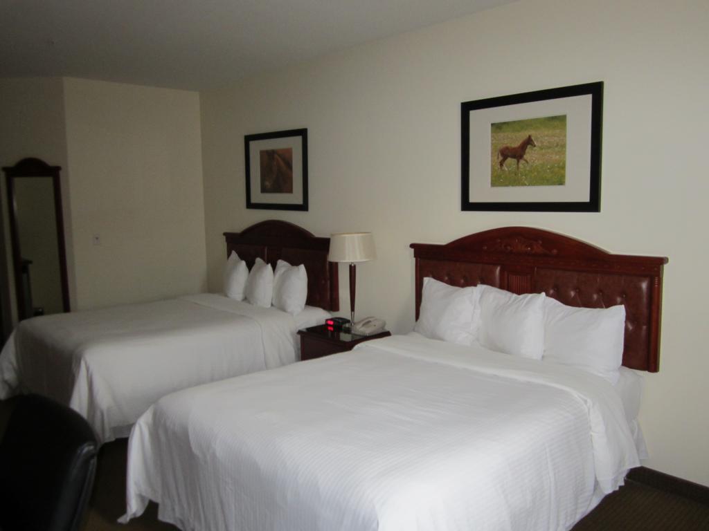 Trend Mountain Hotel & Conference Centre Tumbler Ridge Phòng bức ảnh