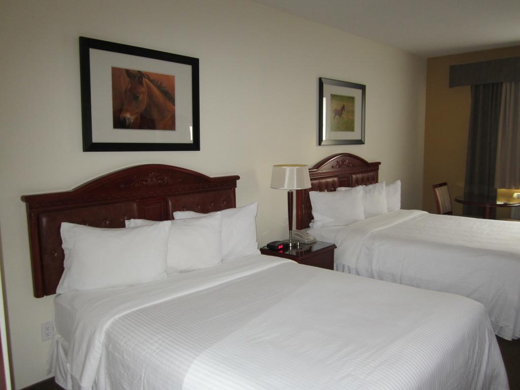 Trend Mountain Hotel & Conference Centre Tumbler Ridge Phòng bức ảnh